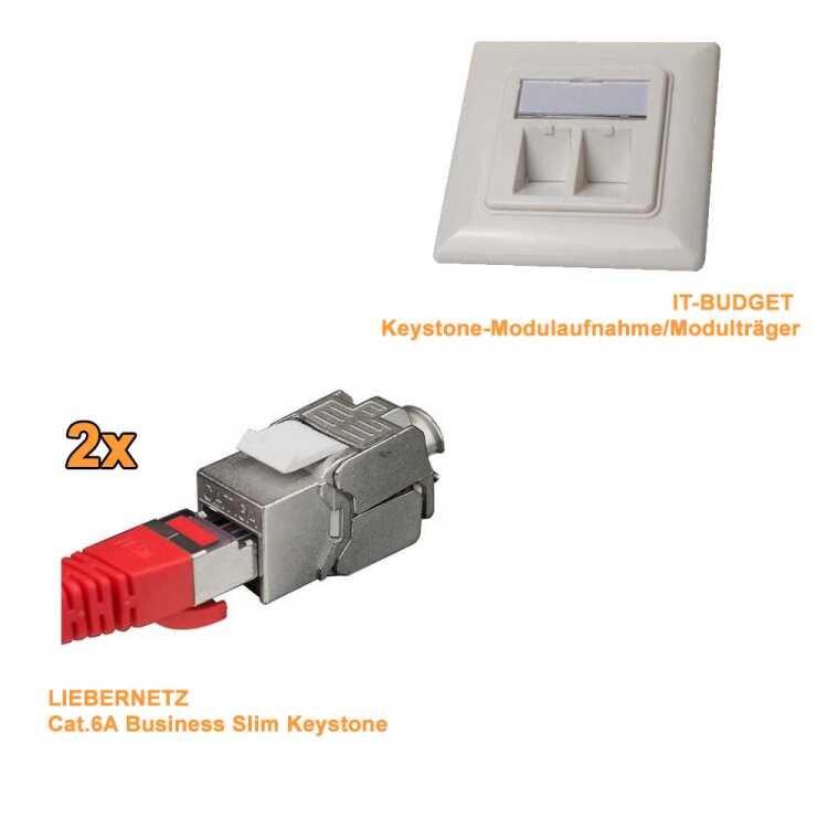 IT-BUDGET - Cat.6A - Keystone - Modular - 2 Port - designfähig - PoE+